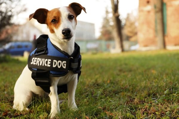 Untitled design (73)